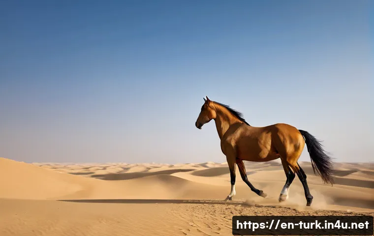 Unveiling Turkmenistan's Hidden Cultural Gems 7 Must-Know Tips 4 투르크메니스탄 문화 체험 관련 이미지 2