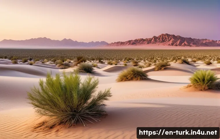투르크메니스탄 카라쿰 사막 - A panoramic view of the Karakum Desert at sunrise, showcasing a diverse terrain with sandy plains, g...